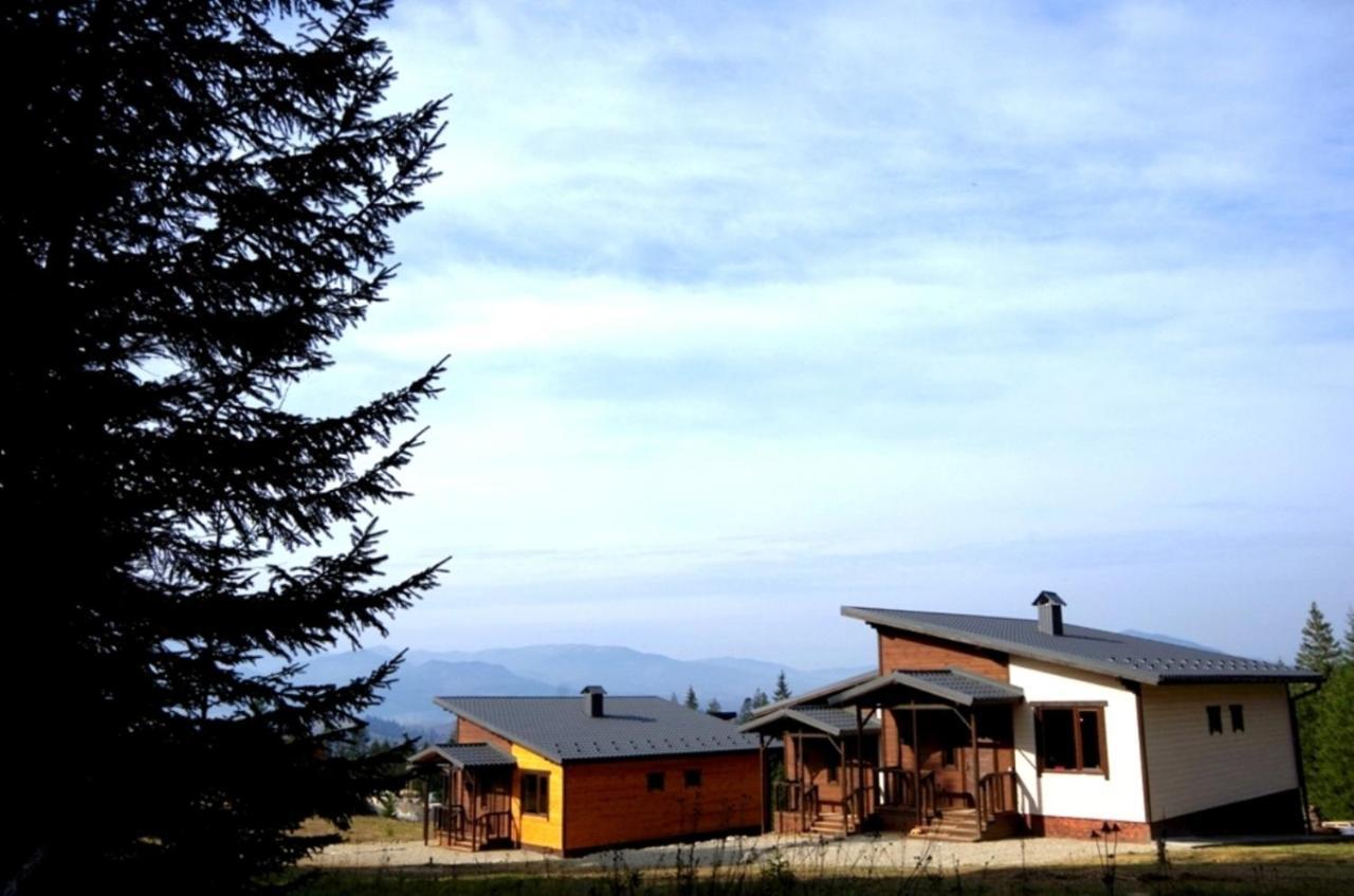 Коттедж Для Отдыха Дискавери Jablunyzja Exterior foto