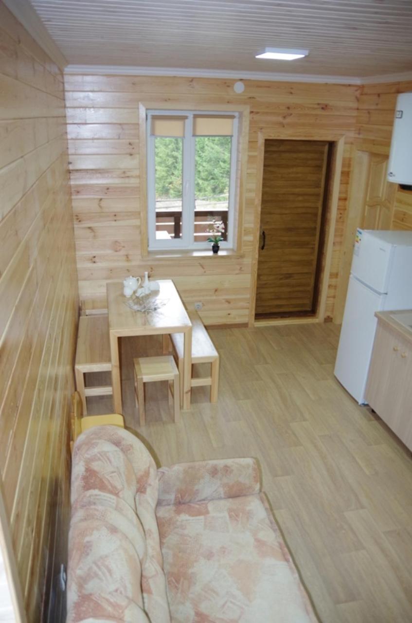 Коттедж Для Отдыха Дискавери Jablunyzja Exterior foto