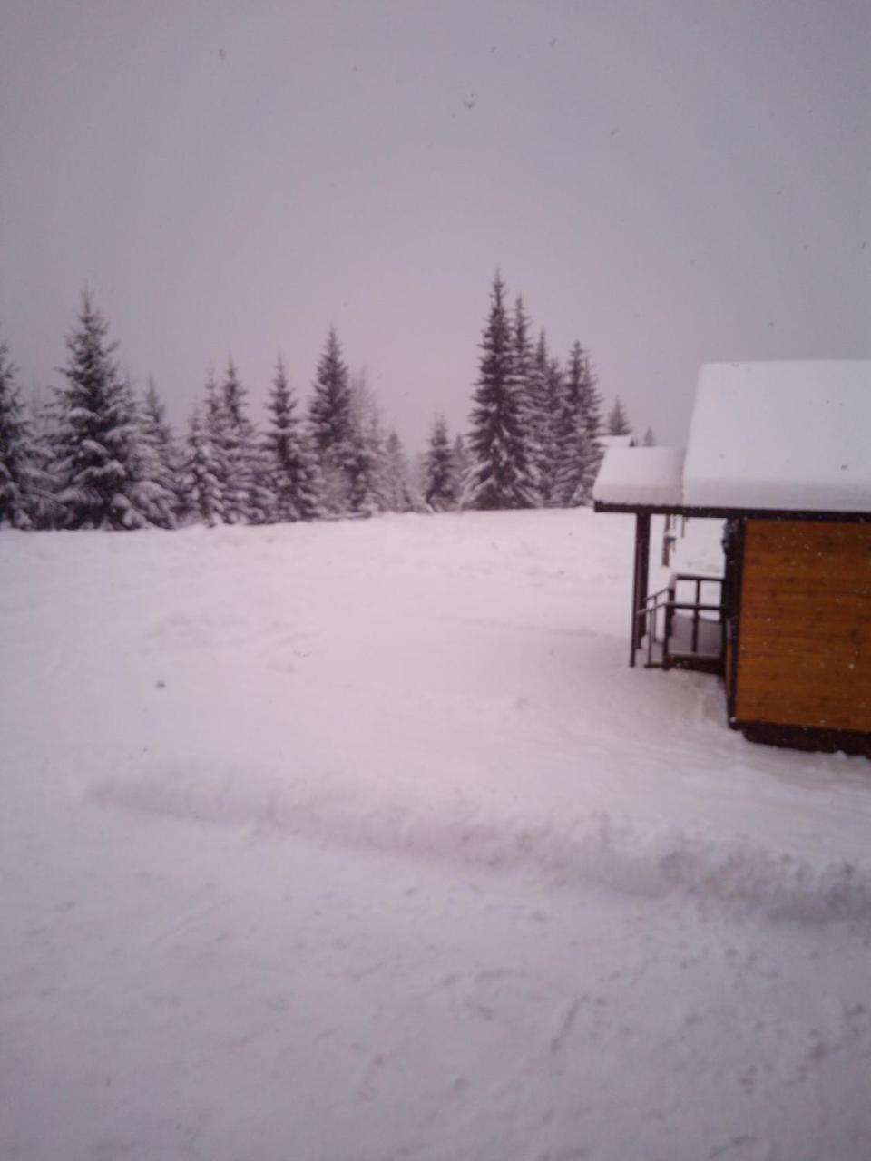Коттедж Для Отдыха Дискавери Jablunyzja Exterior foto