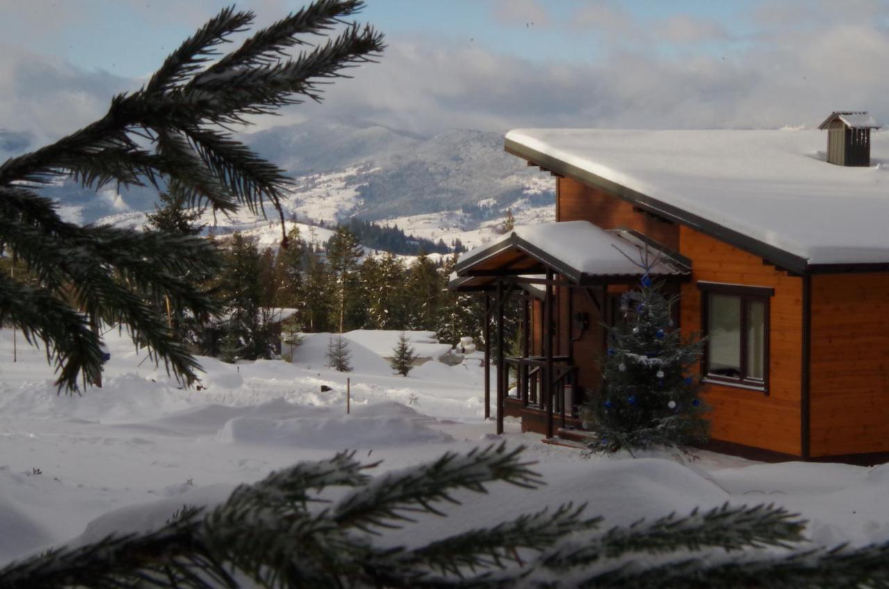 Коттедж Для Отдыха Дискавери Jablunyzja Exterior foto